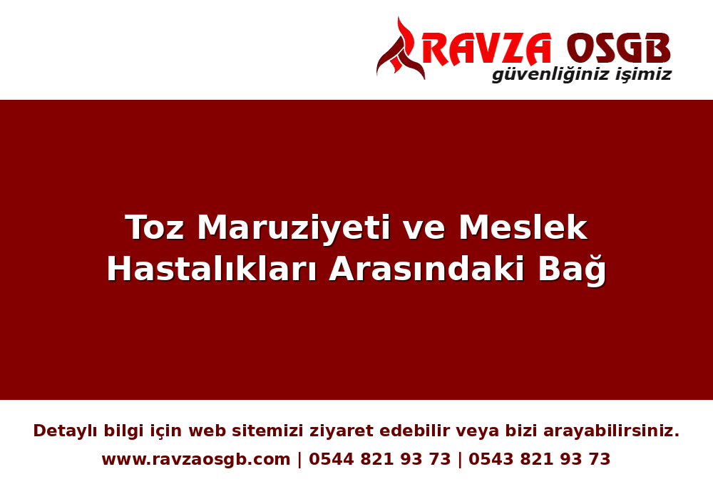 Toz Maruziyeti ve Meslek Hastalıkları Arasındaki Bağ